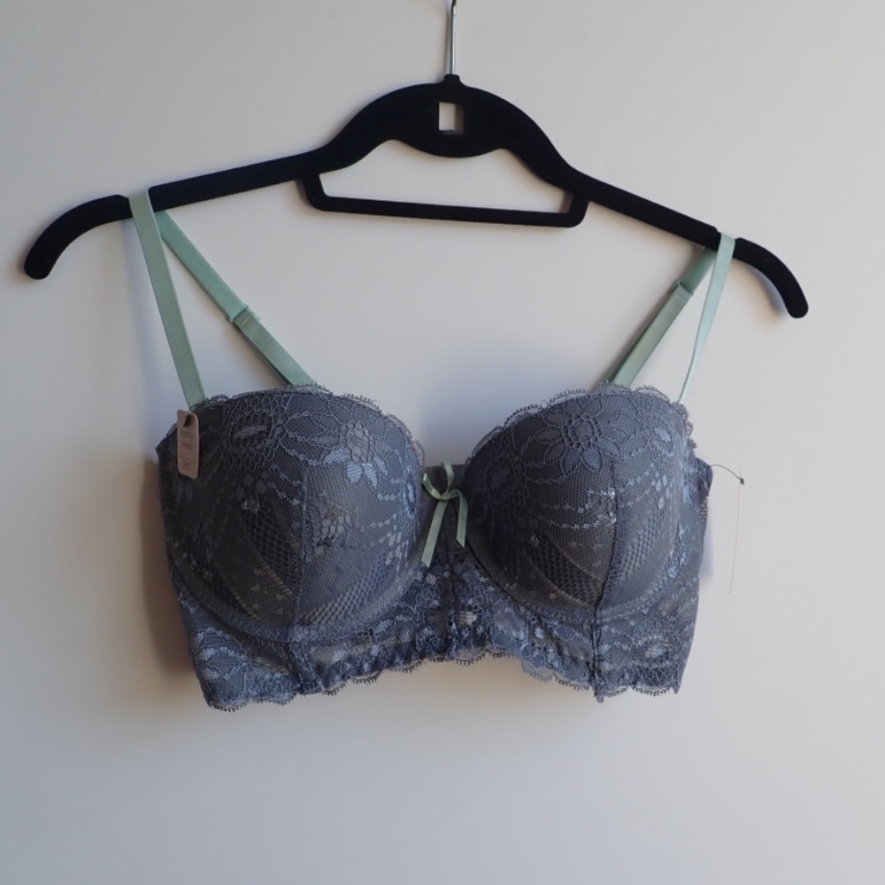 Sophie B 36C NWT Grey Gray Purple Blue Corset Bra